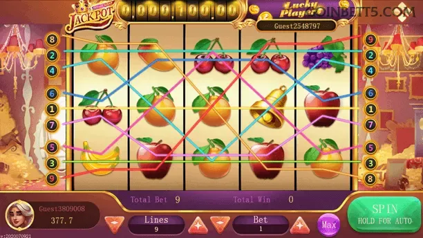 Fortune Rabbit Slot